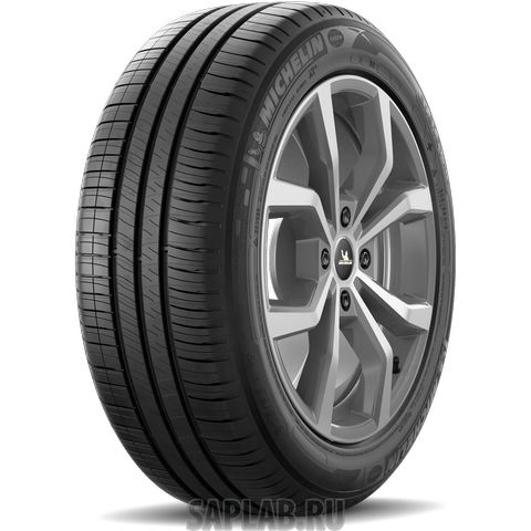 Купить запчасть MICHELIN - 003718 