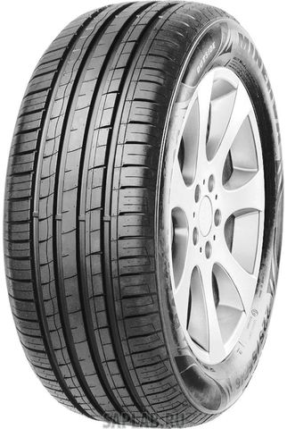 Купить MINERVA MV826 Шины Minerva F209 215/65 R16 H 98