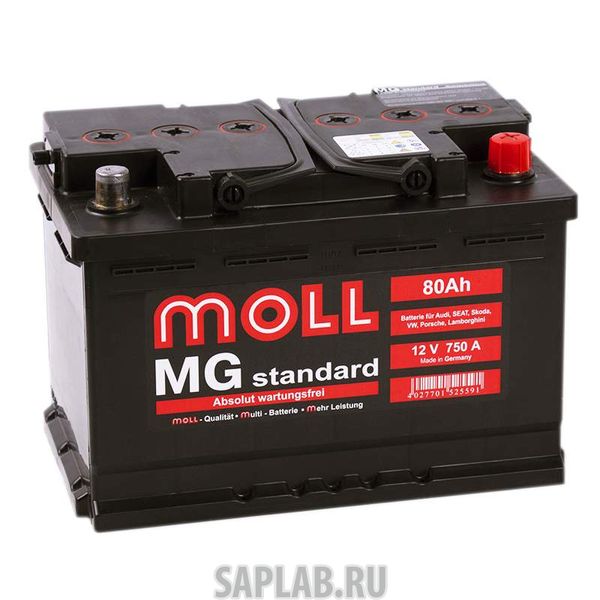 Купить запчасть MOLL - MG80R 