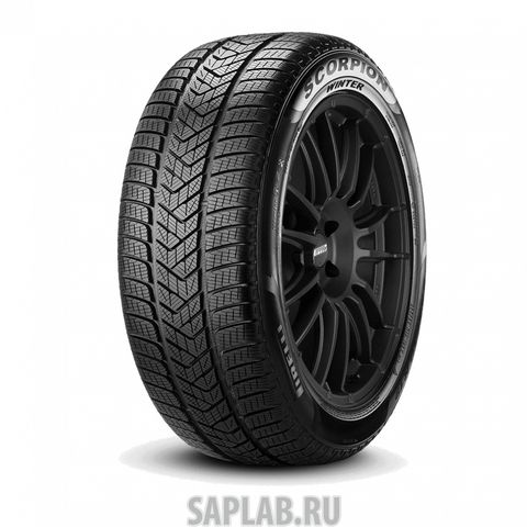 Купить PIRELLI 2307100 Шины Pirelli Scorpion Winter R19 255/55 111V XL