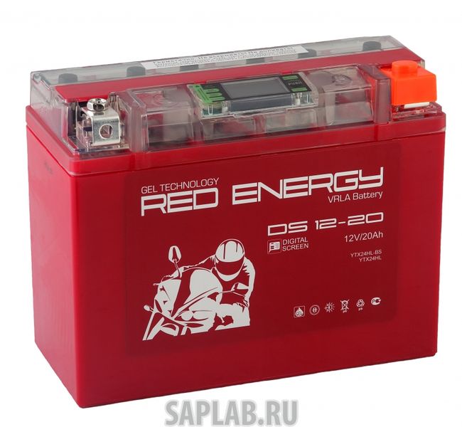 Купить запчасть RED_ENERGY - DS1220 