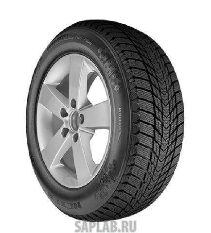 Купить ROADSTONE ROADS16136 Шины ROADSTONE WinGuard Ice Plus XL 225/55 R17 101 roads16136